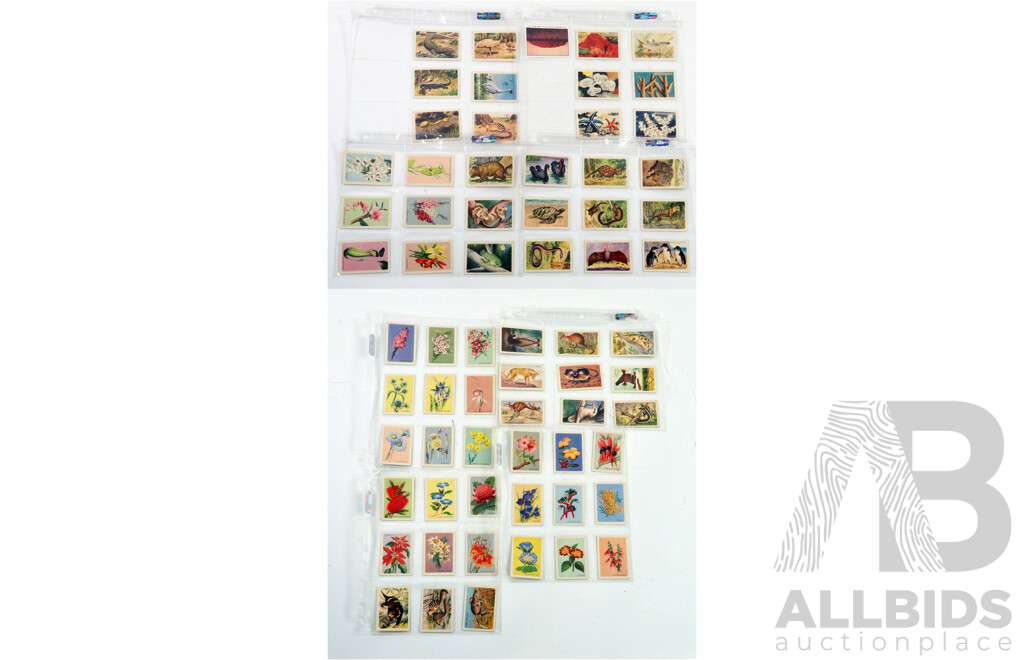 Large Collection of Vintage Trading Cards by Shell Featuring Flora and Auna