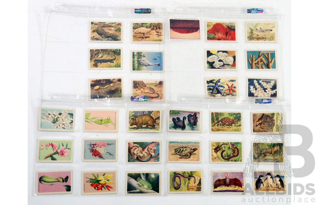 Large Collection of Vintage Trading Cards by Shell Featuring Flora and Auna
