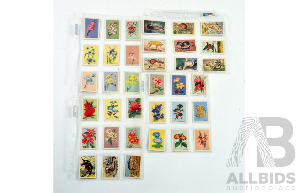 Large Collection of Vintage Trading Cards by Shell Featuring Flora and Auna