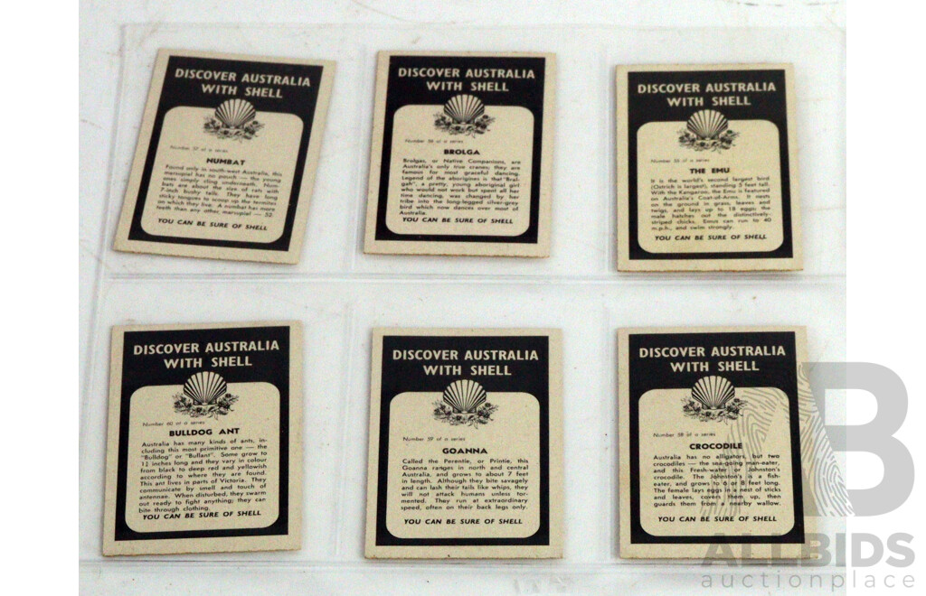 Large Collection of Vintage Trading Cards by Shell Featuring Flora and Auna
