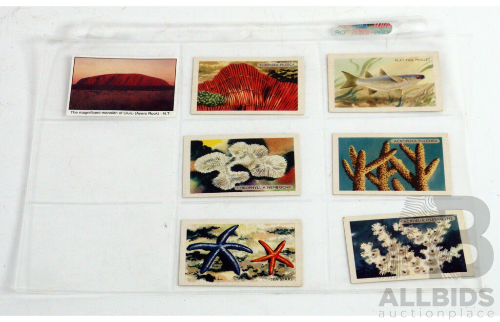 Large Collection of Vintage Trading Cards by Shell Featuring Flora and Auna
