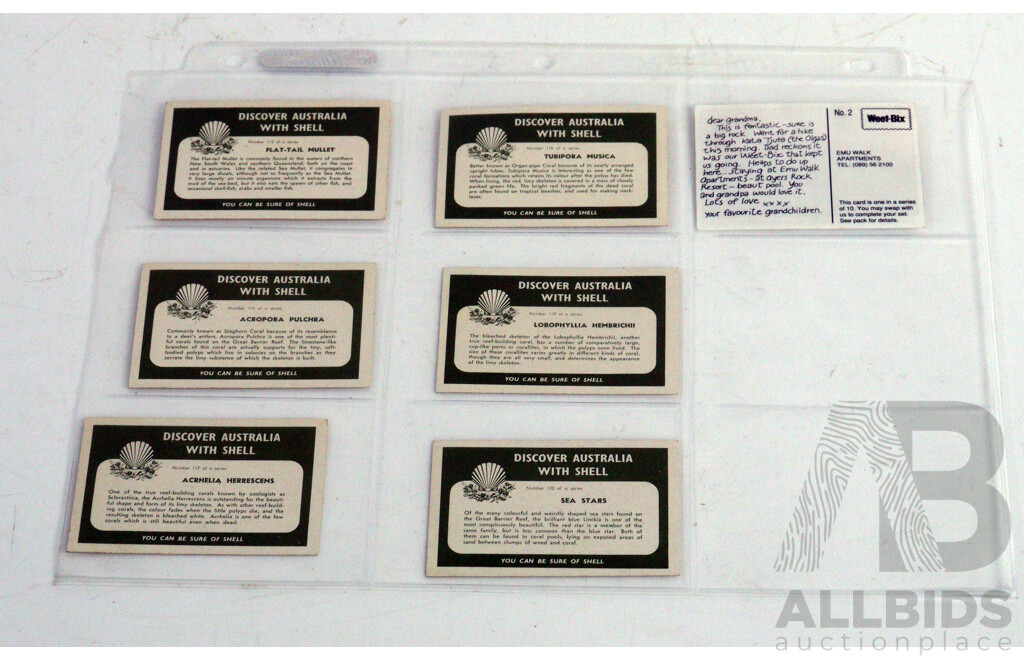 Large Collection of Vintage Trading Cards by Shell Featuring Flora and Auna