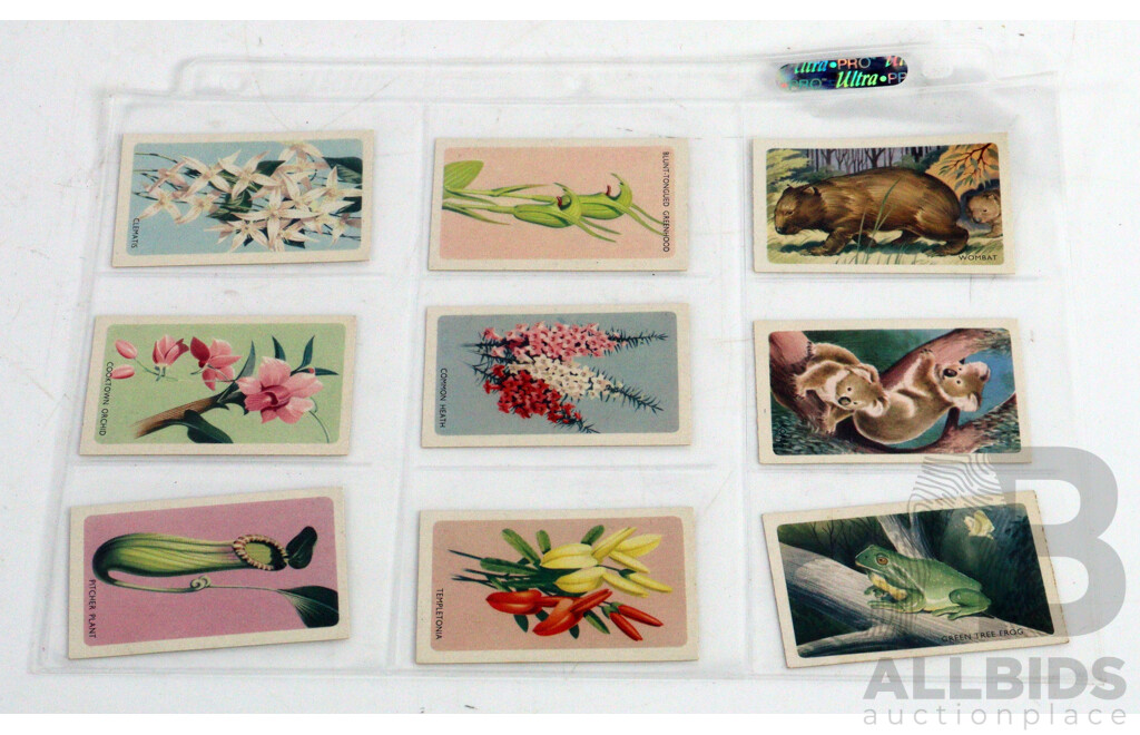 Large Collection of Vintage Trading Cards by Shell Featuring Flora and Auna