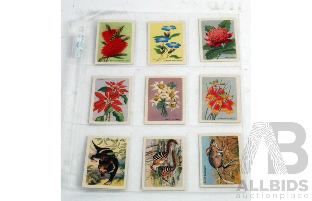 Large Collection of Vintage Trading Cards by Shell Featuring Flora and Auna