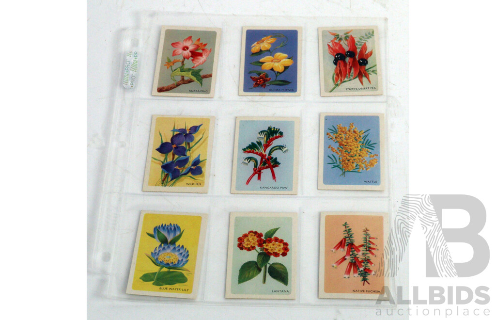 Large Collection of Vintage Trading Cards by Shell Featuring Flora and Auna