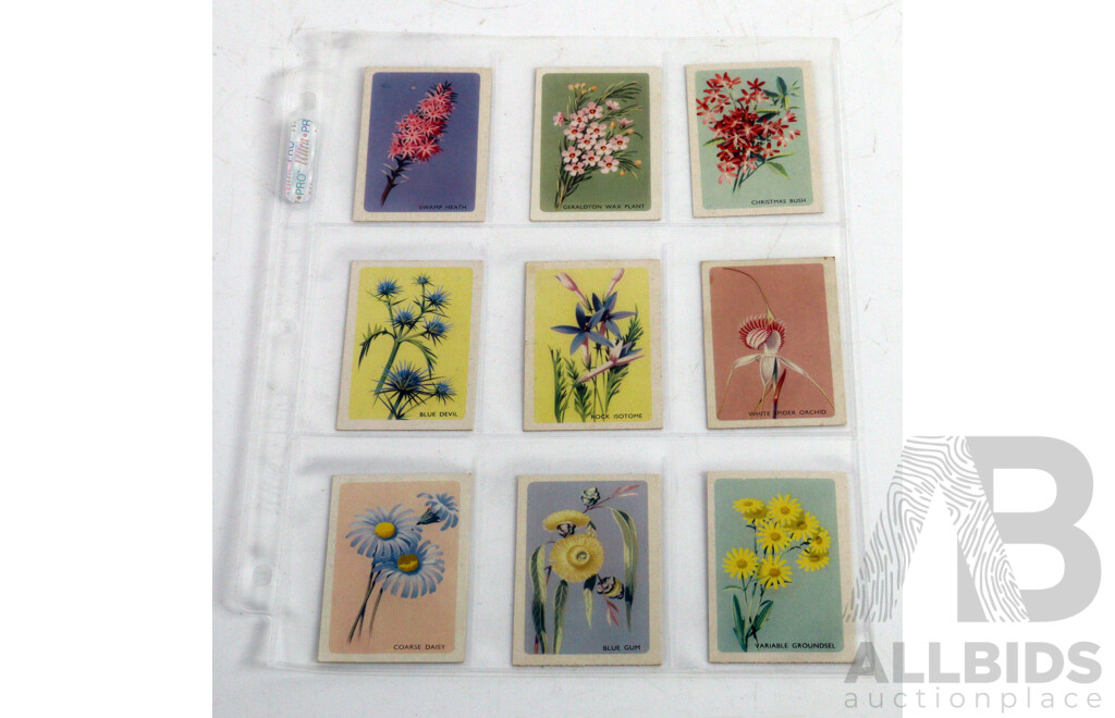 Large Collection of Vintage Trading Cards by Shell Featuring Flora and Auna