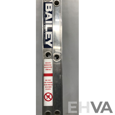 Bailey Extension Ladder