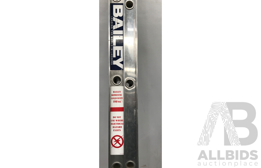 Bailey Extension Ladder