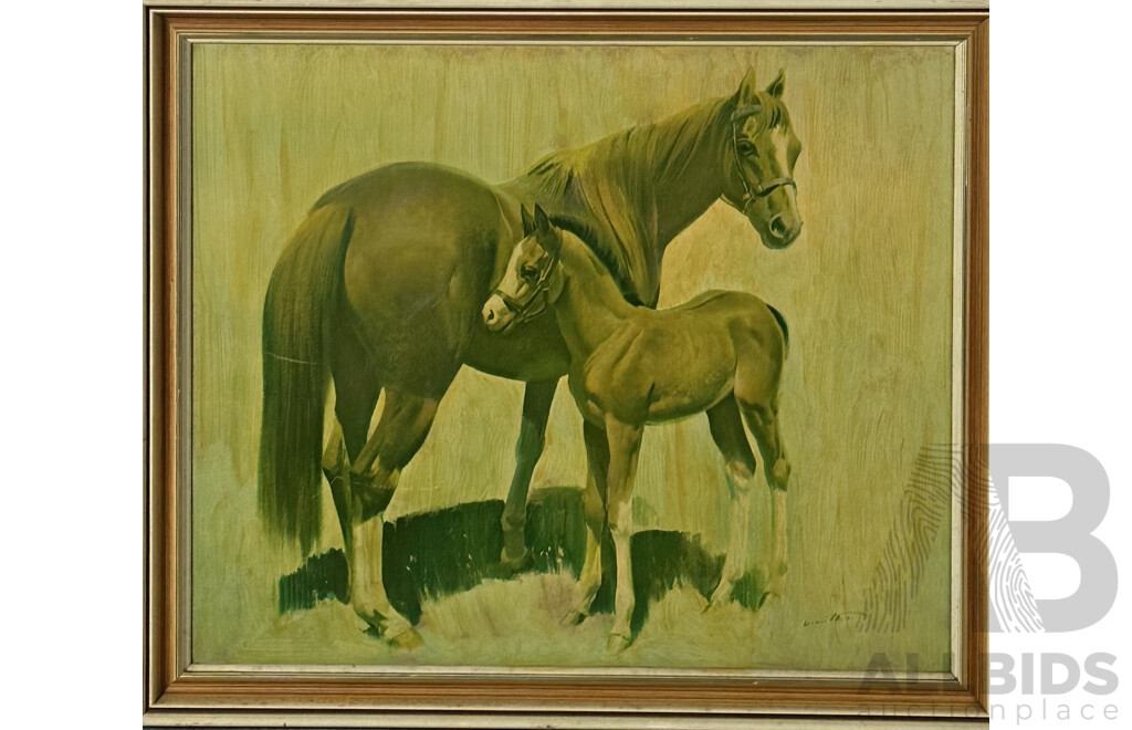 Frank Wootton, (20th Century, British, 1914 -1998), Arab Mare and Foal, Oil on Board, 58 x 68 cm (frame)