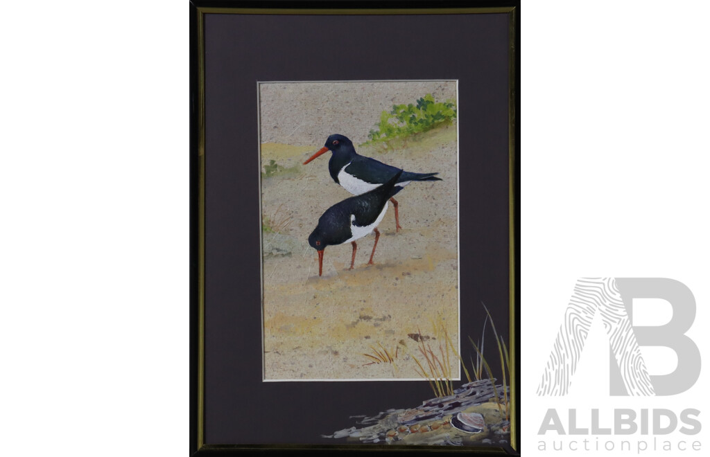 Artist and Date Unknown, Pair of Oystercatchers, Watercolour, 31 x 22 cm (frame)