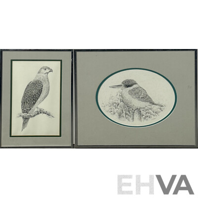 David H. Stacey, (Working c1980s), Peregrine Falcon and King Fisher, Framed Embossed Prints of Original Sketches, 42 x 31 cm (larger Frame) (2)