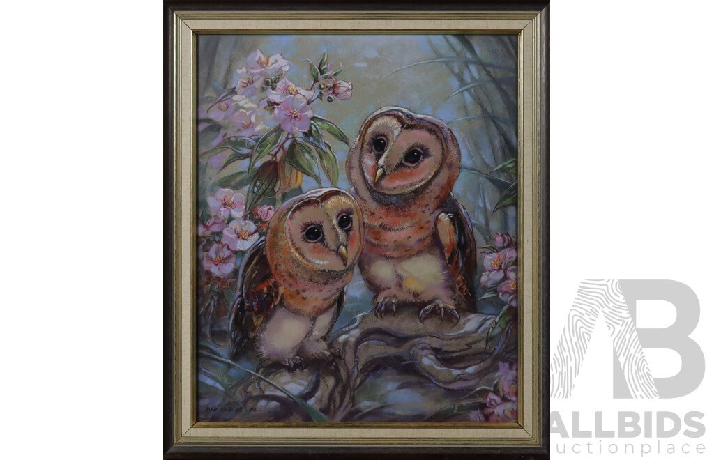 Ben Marcus, (Contemporary, Australian), Owls, Pastel, 70 x 60 cm (frame)