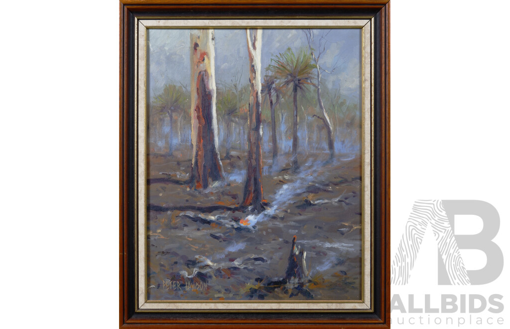 Peter Lawson, (20th Century, Australian, Great Nephew of Henry Lawson,1946-), Burnt Bush, Oil on Canvas, 49 x 39 cm (image)