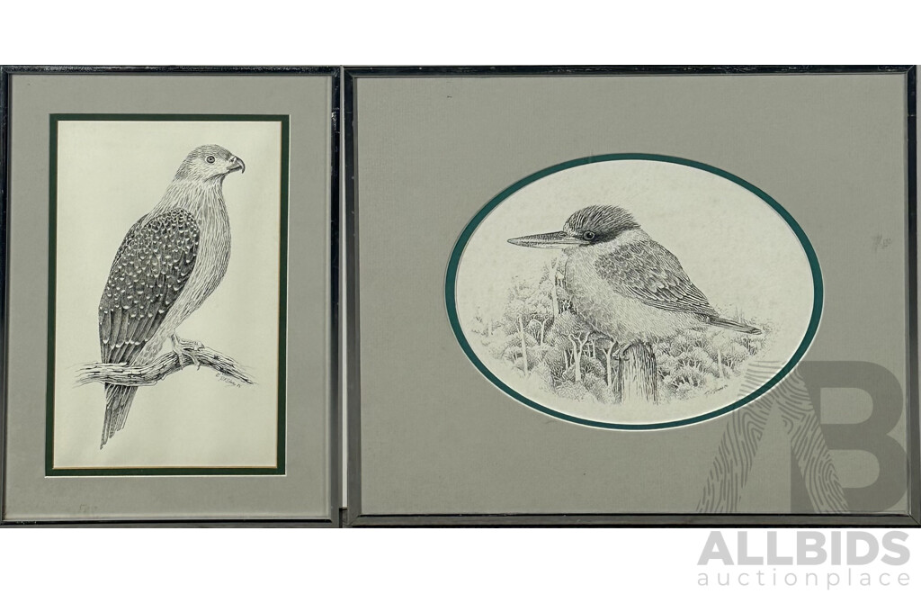 David H. Stacey, (Working c1980s), Peregrine Falcon and King Fisher, Framed Embossed Prints of Original Sketches, 42 x 31 cm (larger Frame) (2)