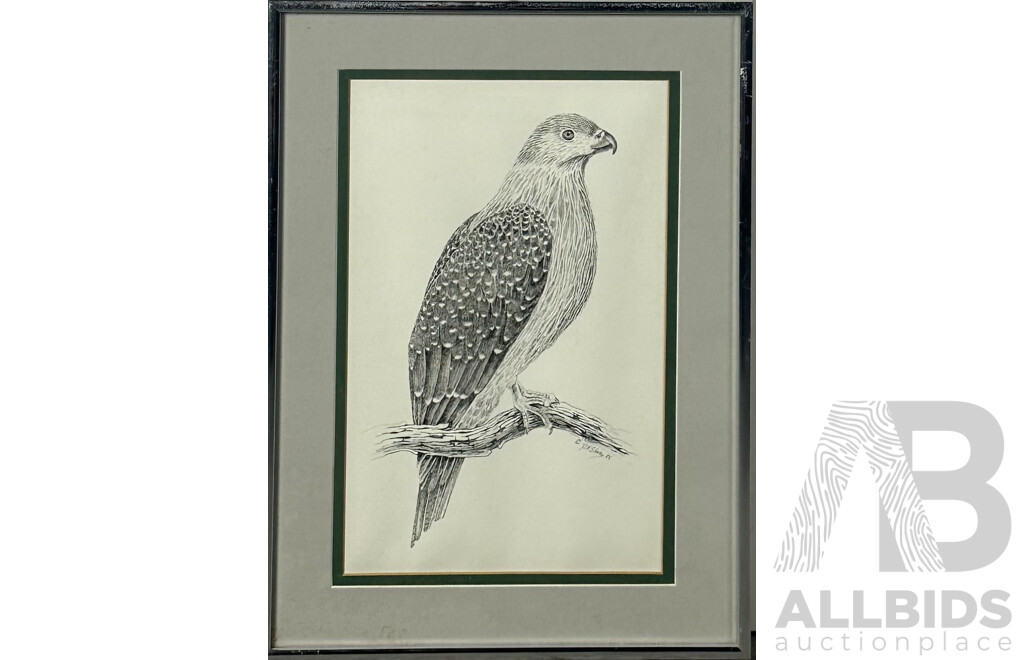 David H. Stacey, (Working c1980s), Peregrine Falcon and King Fisher, Framed Embossed Prints of Original Sketches, 42 x 31 cm (larger Frame) (2)