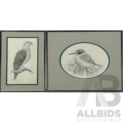 David H. Stacey, (Working c1980s), Peregrine Falcon and King Fisher, Framed Embossed Prints of Original Sketches, 42 x 31 cm (larger Frame) (2)