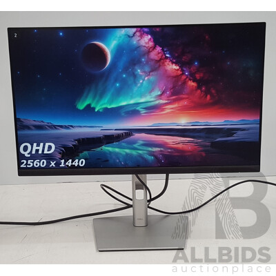 Dell (P2423D) 23.8-Inch QHD (1440p) Widescreen LED-Backlit LCD Monitor