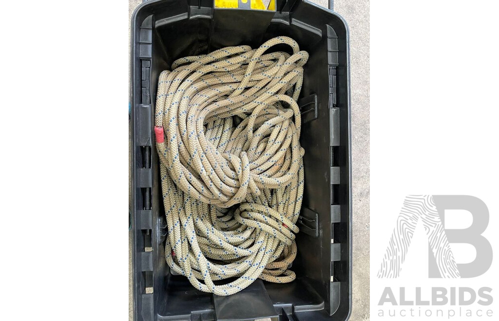 Professional Rope, Carabiner and Safety Fixings