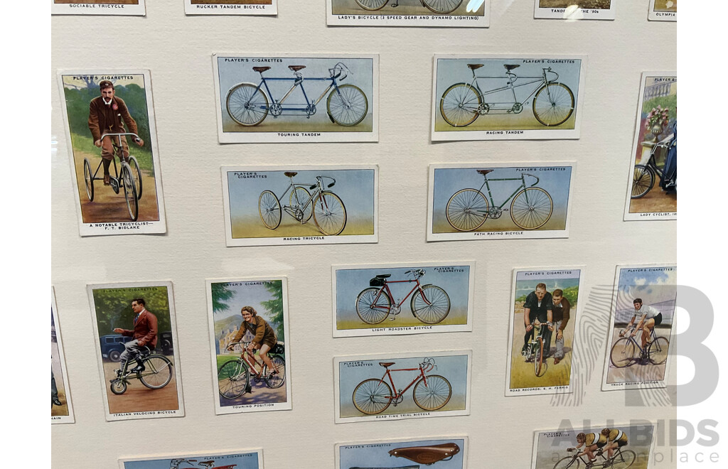 50 Vintage Framed Bicycle Themed Player's Cigarette Cards (60 X 70cm)