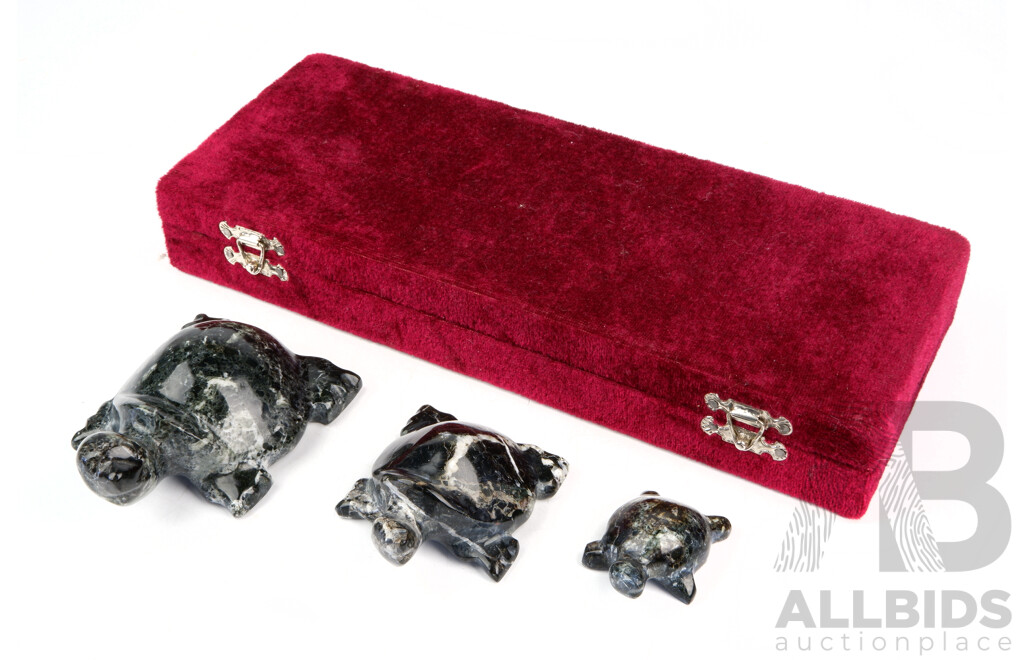 Set Three Hand Carved Graduating Polished Stone Tortoise Figures in Presentation Box