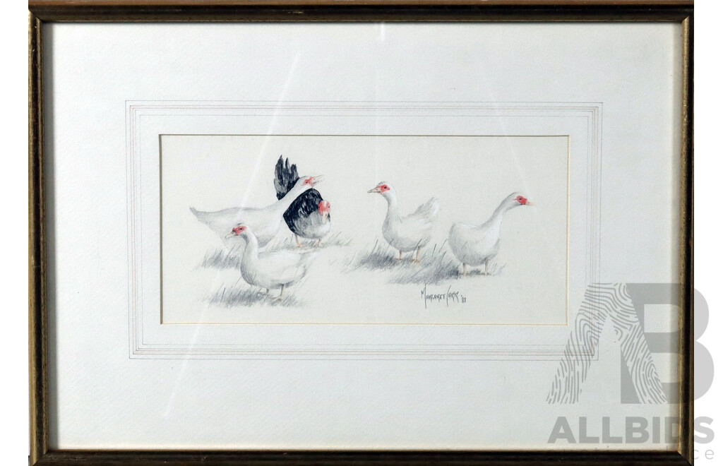 Margaret Carr, (20th Century, Australian), Ducks, Pencil on Card, 36 X 51 Cm (frame)