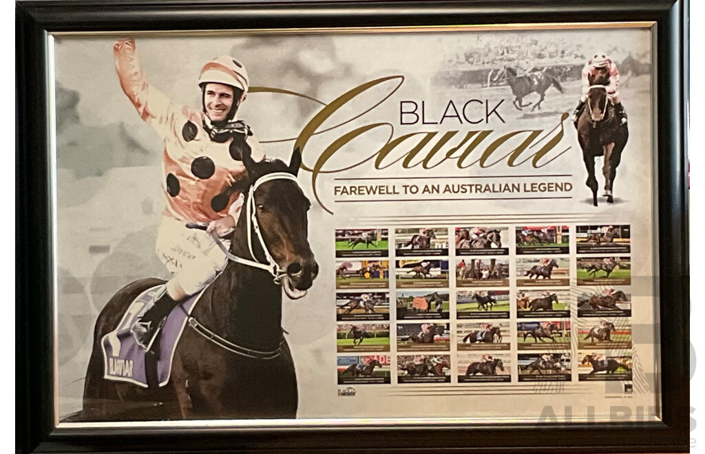 Framed Black Caviaer - Farewell to an Australian Legend Print - 90 X63cm