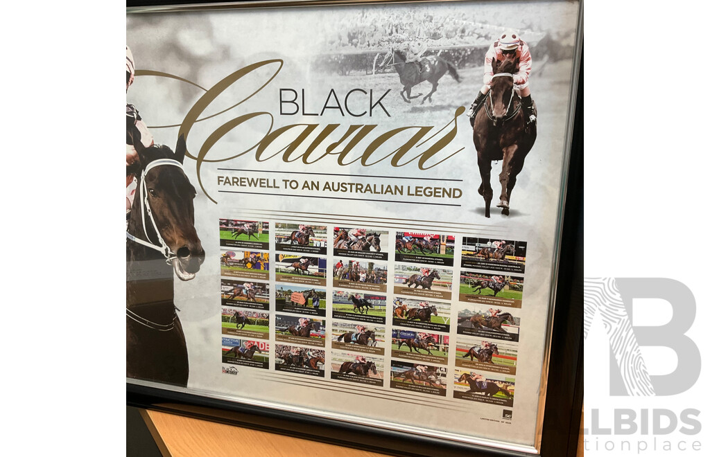 Framed Black Caviaer - Farewell to an Australian Legend Print - 90 X63cm