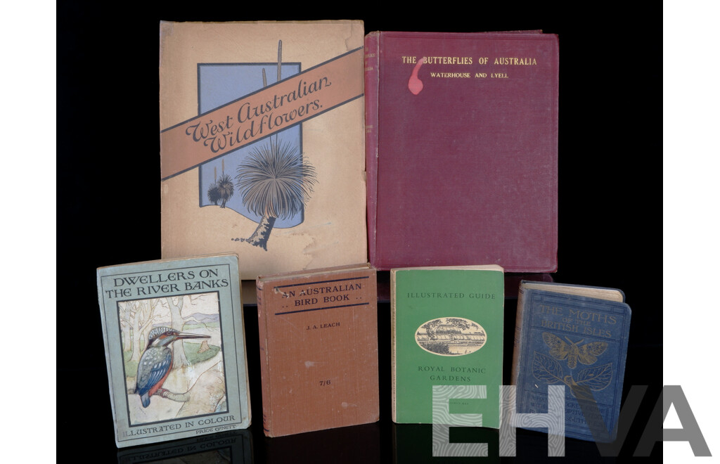 Collection Six Antique or Vintage Books on Mostly Australian Flora and Fauna Including The Butterflies of Australia, 1914, The Moths of the British Isles, West Australian Wild Flowers, 1947 and More