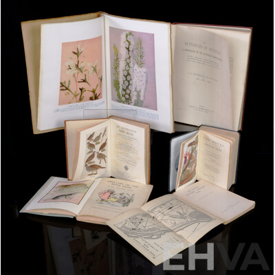 Collection Six Antique or Vintage Books on Mostly Australian Flora and Fauna Including The Butterflies of Australia, 1914, The Moths of the British Isles, West Australian Wild Flowers, 1947 and More