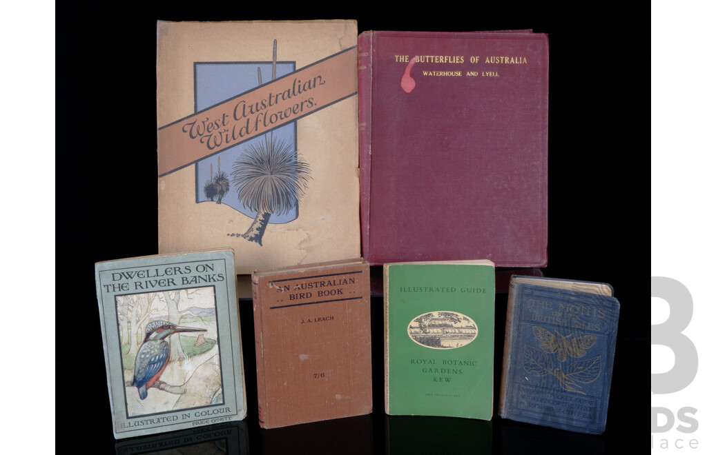 Collection Six Antique or Vintage Books on Mostly Australian Flora and Fauna Including The Butterflies of Australia, 1914, The Moths of the British Isles, West Australian Wild Flowers, 1947 and More