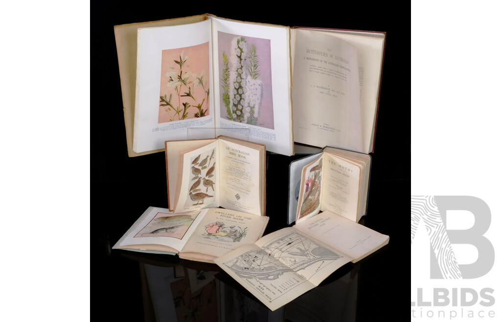 Collection Six Antique or Vintage Books on Mostly Australian Flora and Fauna Including The Butterflies of Australia, 1914, The Moths of the British Isles, West Australian Wild Flowers, 1947 and More