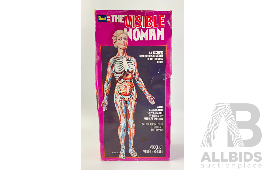 Vintage Revell 'The Visible Woman' Model with Original Box