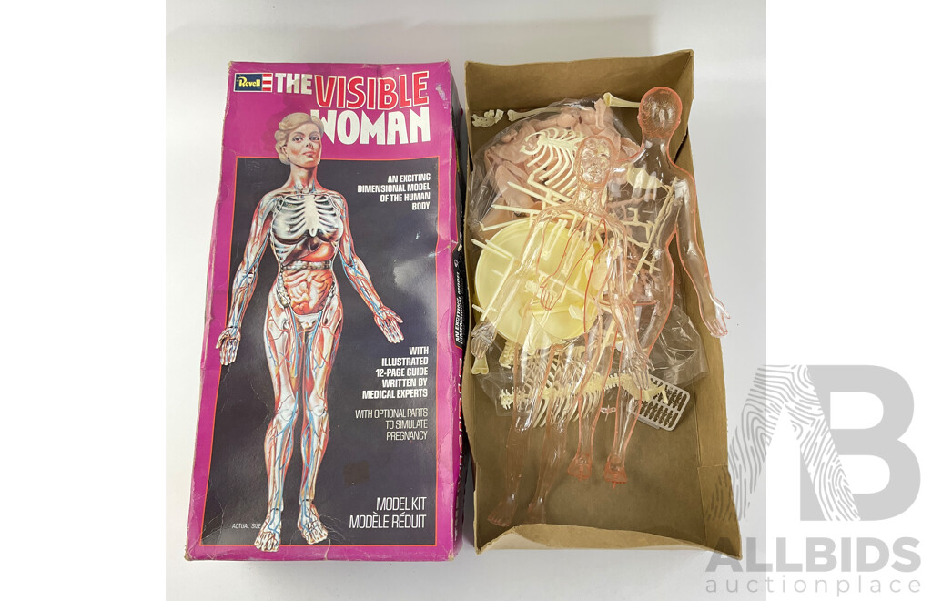 Vintage Revell 'The Visible Woman' Model with Original Box