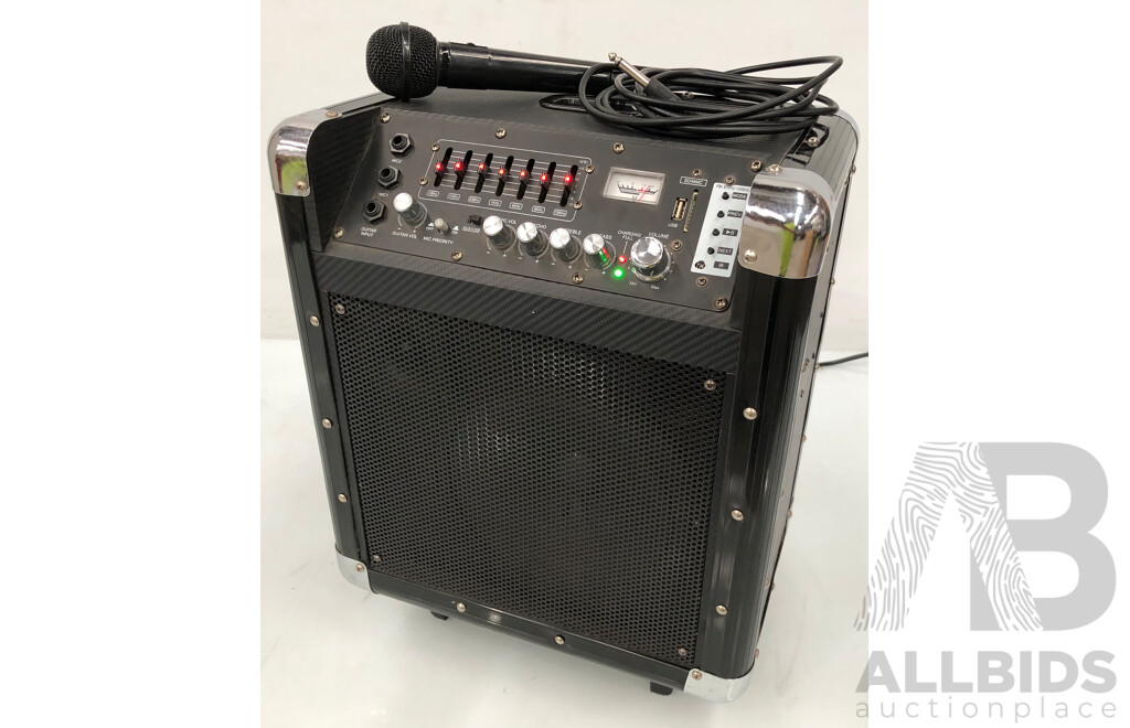 Portable Public Address, Guitar Amplifier, Speaker System