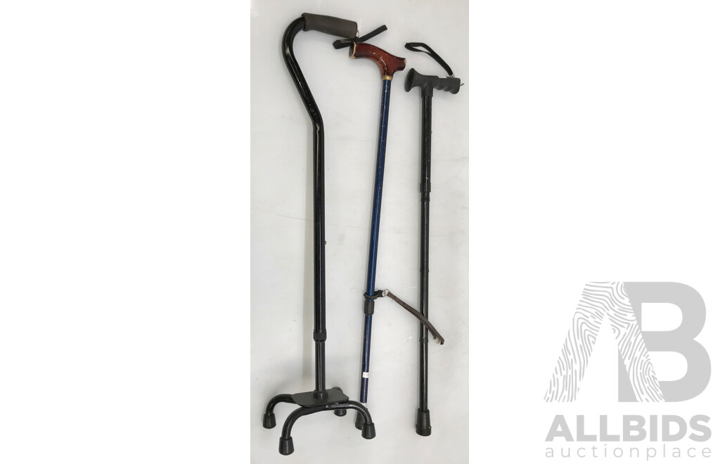 Drive Nitro Walker, Wagner Rollator, and Walking Canes with Strap - Lot of 5