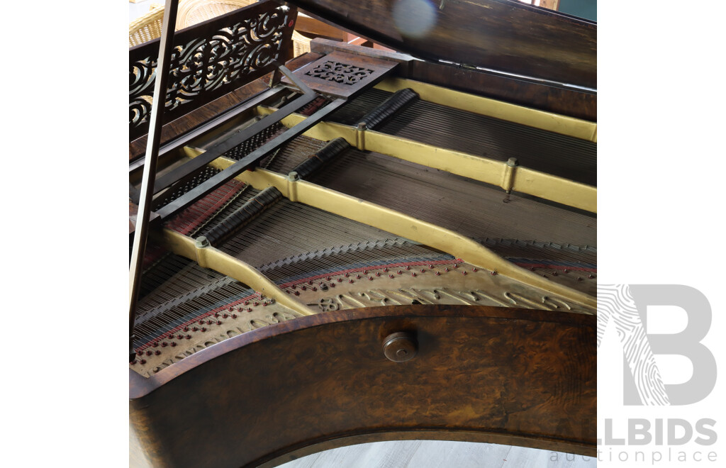 Antique Bur Walnut Baby Grand Piano by Collard & Collard, London