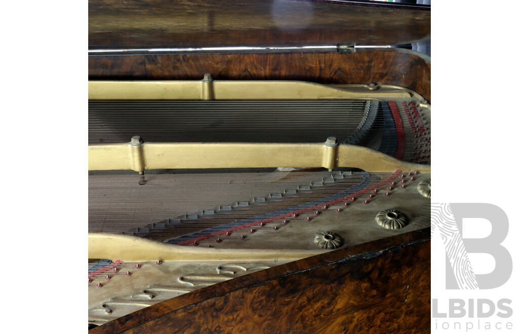 Antique Bur Walnut Baby Grand Piano by Collard & Collard, London