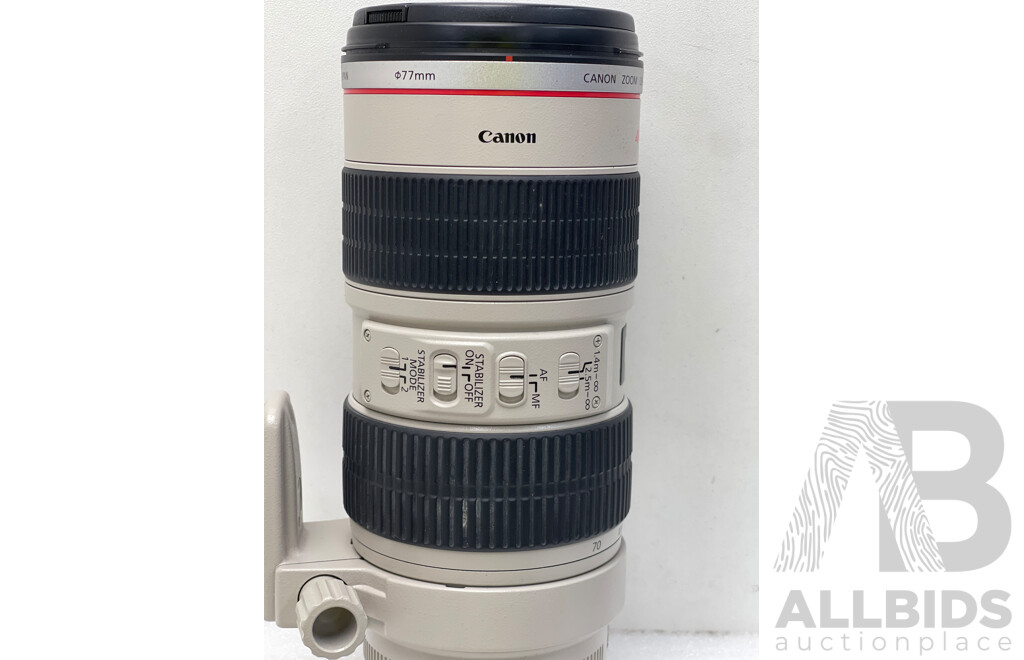 Canon 70-200mm 1:2.8 L Telephoto Lens