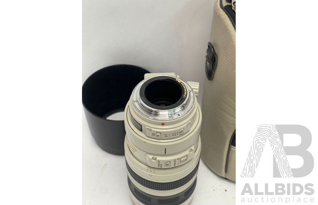 Canon 100-400mm EF 1:4.5-5.6 L Telephoto Lens