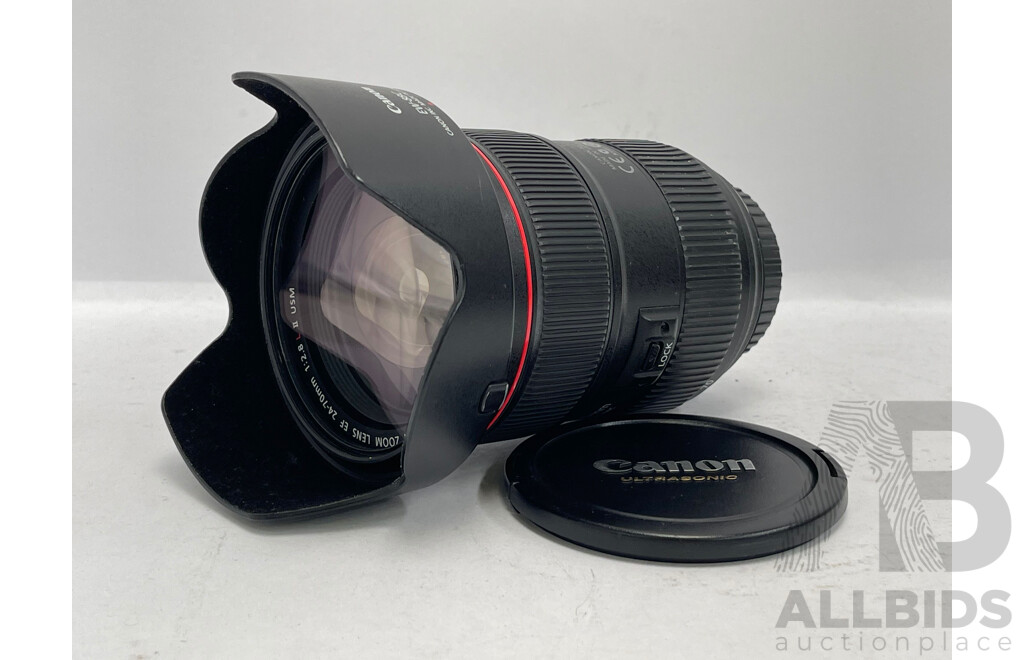 Canon EF 24-70mm F/2.8 L II USM Lens