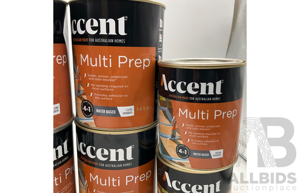 ACCENT Assorted of Multi Prep Water Based/Oil Based - 500ml/1L - Lot of 8