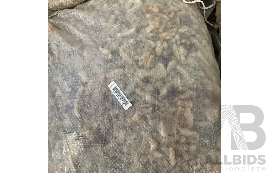 Full Pallet of Aquarium Coral