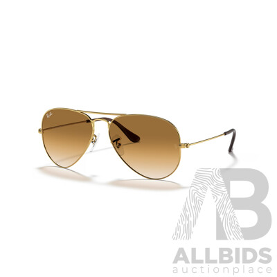 RAY-BAN RB3025 Aviator Gradient Sunglasses