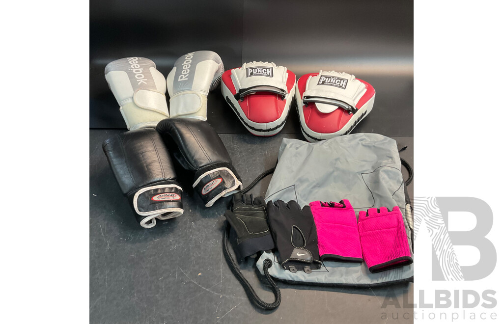 Assorted of Boxing Glove / Equipment