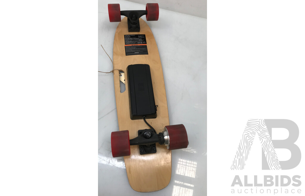 PeeWee Electric Skateboard