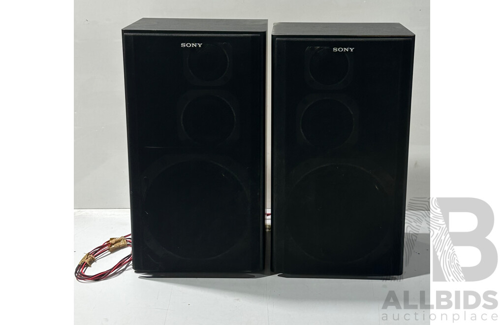 Pair of Sony SS-D501 Speakers