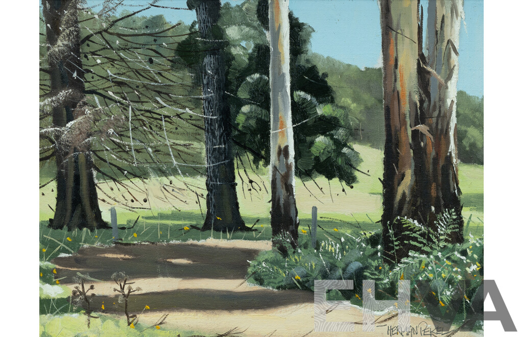 PEKEL, Herman (b.1956) 'Morning Light - Healesville [VIC]' 1975. 