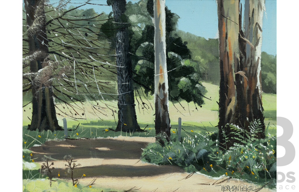 PEKEL, Herman (b.1956) 'Morning Light - Healesville [VIC]' 1975. 