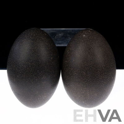 Two Hollow Blown Emu Eggs