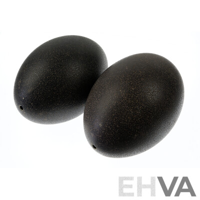 Two Hollow Blown Emu Eggs